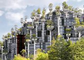 “1000棵樹(shù)”將竣工，魔都再現(xiàn)“空中花園”！